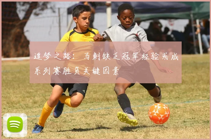 追梦之路：马刺缺乏冠军经验或成系列赛胜负关键因素